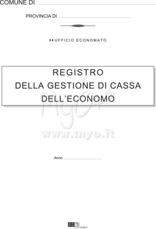 GESTIONE DI CASSA DELL'ECONOMO